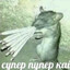 TurboXryak2000
