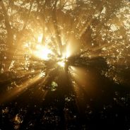 >.::Full-metal-jacket::.<