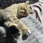 Yevhen`