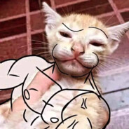 ඞGATO TIMBERO