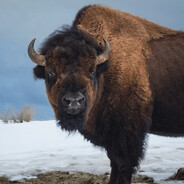 Big Daddy Kaptein Sabeltann