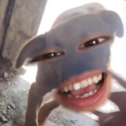 不讲道理的秃头