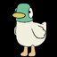 Dicduc