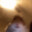 Jevin