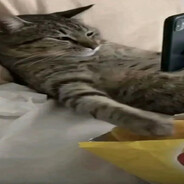 meebo