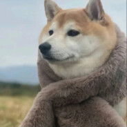 屁股沾屎沾谁谁死