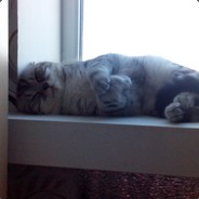 IMMORTAL - steam id 76561198215681644