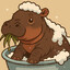 Soapy Hippo