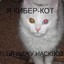 КИБЕР КОТ