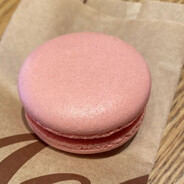 枪马网卡耳朵聋