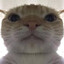 Avatar of player Бих тейсти