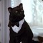 Salem