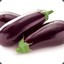 EggPlant57