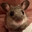 mousey