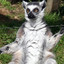 Lemur