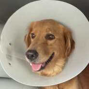 O Fantasminha Camarada