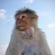 боевая единица - steam id 76561198999532552