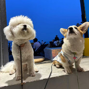 超薄也是有距离