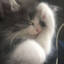 пися♥'s avatar