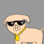 Mr_boby