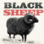 Black Sheep