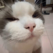 你醒了，刚刚一梭子伤害17把你气晕了