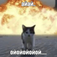 kitty ><