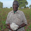 Cottonfarmer