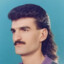 Frenzy Mullet