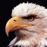 _EagleMan_