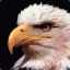 _EagleMan_