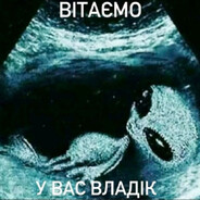 Володя avatar