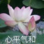 与世无争