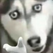 看见人枪就马无能为力