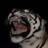 favor - steam id 76561198381222162