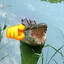 помощник водонос