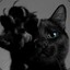 kiska_blud