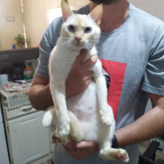 一年天加急人物