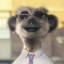 ello its sergei init luv