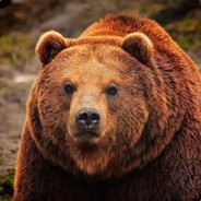 за феолетова и дв