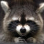 Mr. Raccoon