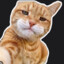 Meowmed Ali 🥊