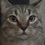 bibba