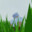 matthecat8502 avatar