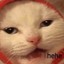 Gatito cósmic0