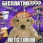 заяц баксбани