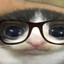 L1NIC