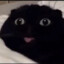 WOT