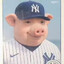 Jim Pork