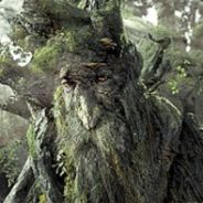 Don't Be Hasty - steam id 76561197962727315